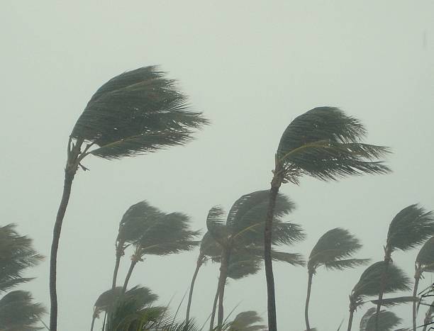 Prepare For Storms